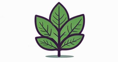 Sweet Protection Bushwhacker 2vi Mips