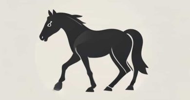 Taking Time By The Fetlock