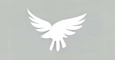 The High And The Flighty