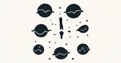 Being Human Flotsam And Jetsam