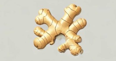 Benefits Of Chewing Raw Ginger