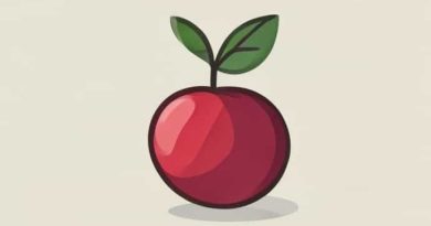 Benefits Of Plum Fruit