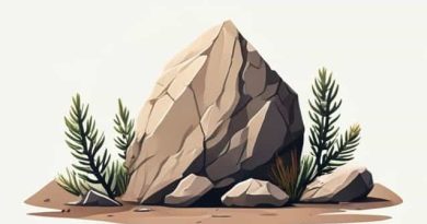 Big Rock In Pinon Hills