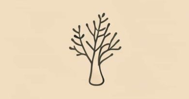 Causes Of Fungal Acne