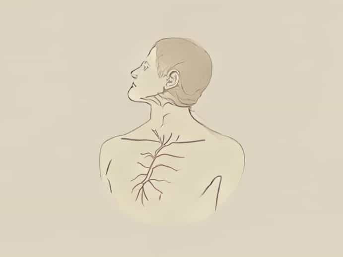 Durer Under Your Skin