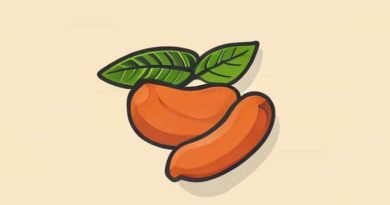 Effect Of Tamarind On Periods