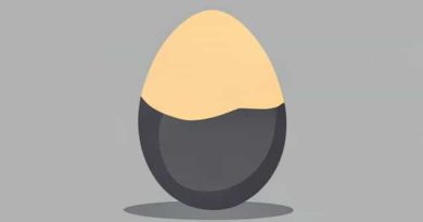 Egg In These Trying Times