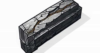 Elden Ring Stone Coffin Fissure