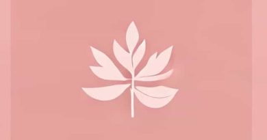 Farrow And Ball Dusky Pink