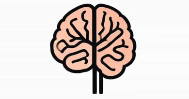 Frontal Lobe Responsible For