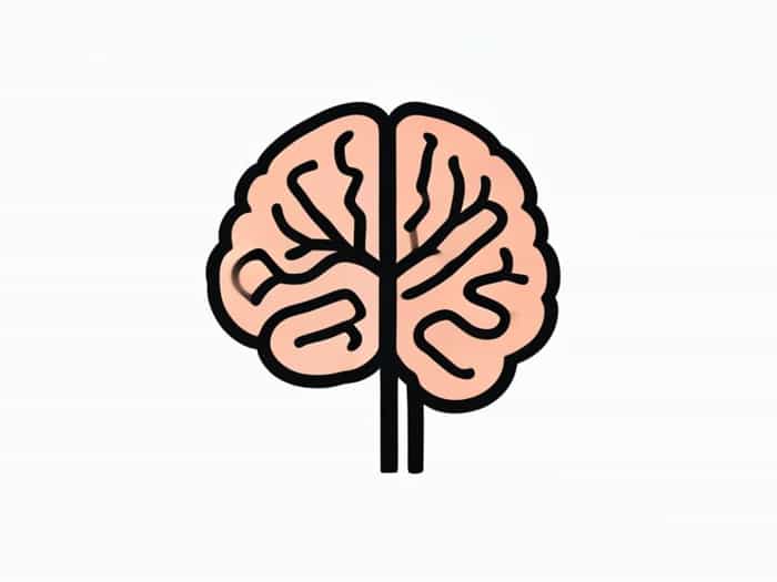 Frontal Lobe Responsible For