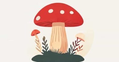 Fungi Is Parasite Or Saprophyte