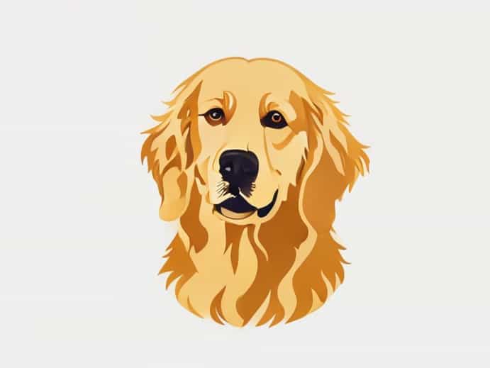 Golden Retriever X Cavalier