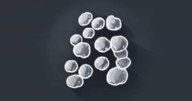 Granulocytes Have Segmented Nuclei