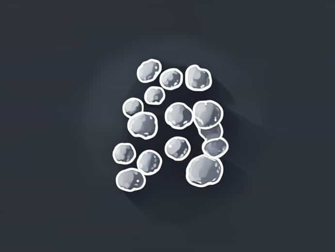 Granulocytes Have Segmented Nuclei