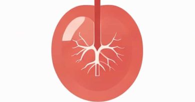 Greater Omentum Embryological Origin