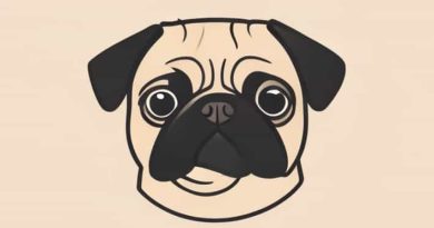 How Do You Spell Pugilistic