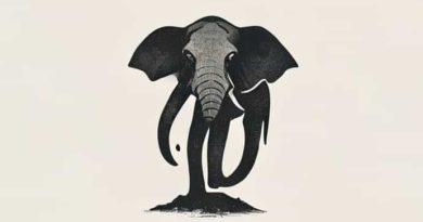 How Rare Is Elephantiasis