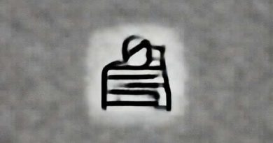 I The Undersigned Below