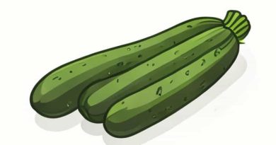 Is Zucchini A Starchy Vegetables