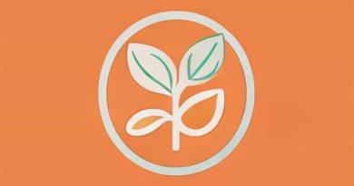 Kako Utrogestan Utice Na Plod