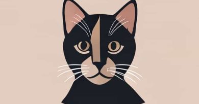 Katt Williams Woke Foke