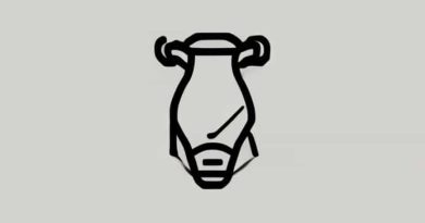 Kenda Juggernaut Pro 26x4