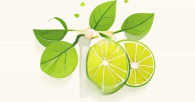 Key Limes Detoxify The Body