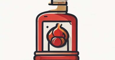 King Pellet Stove Manual