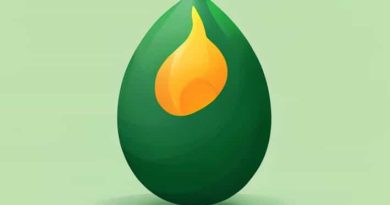 Large Big Green Egg Firebox