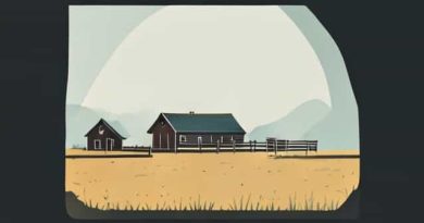 New World Rawhide Farm 2024