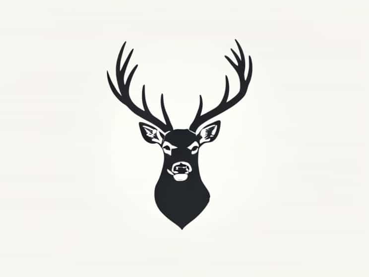 Ohio Nuisance Deer Permit Rules