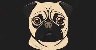 Pugilistic Attitude Of The Body