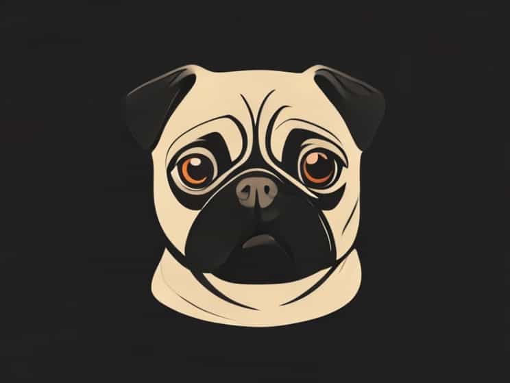 Pugilistic Attitude Of The Body