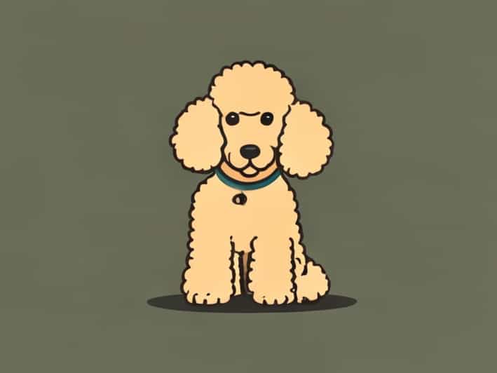 Quantos Anos Vive Um Poodle