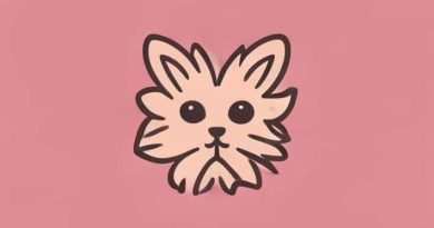 Que Es Flossy En Espanol