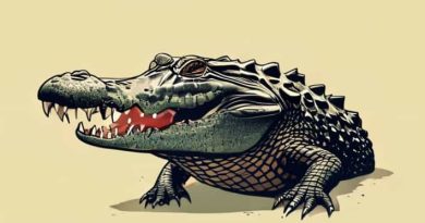 Rdr2 Legendary Alligator Not Spawning
