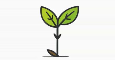 Requirements For Seed Germination