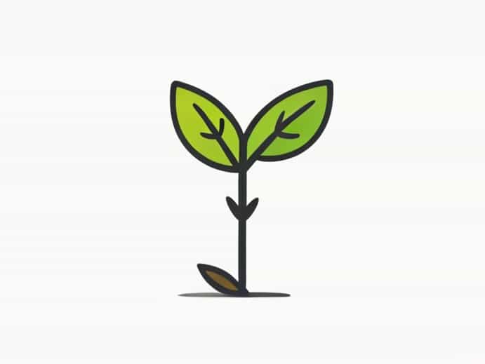 Requirements For Seed Germination