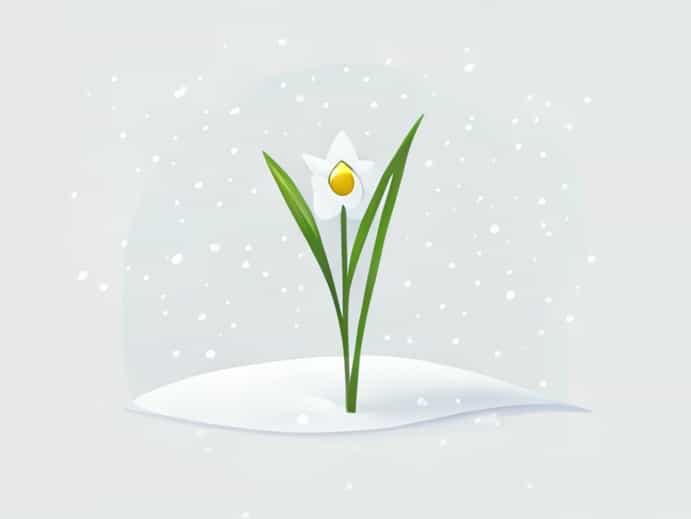 Rode Hall Snowdrop Walk