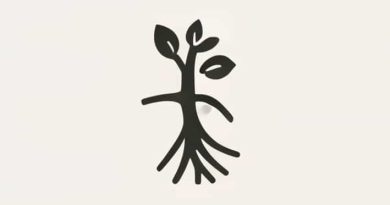 Root Or Affix From Above