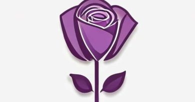 Rose De France Amethyst