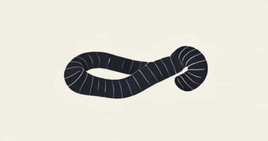 Scientific Name For Segmented Worms