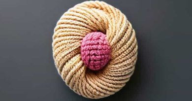 Single Skein Crochet Projects