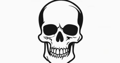 Skull Of Australopithecus Afarensis