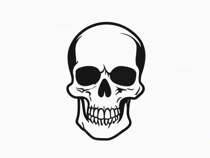 Skull Of Australopithecus Afarensis