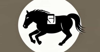 Stewball Was A Racehorse