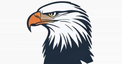 Texas Eagle Sightseer Lounge