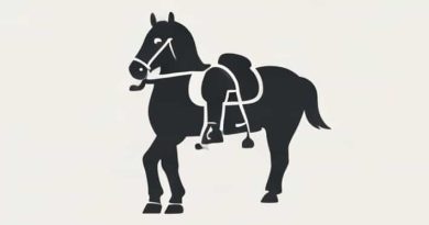 Used Wade Saddles For Sale