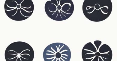 Variations Of The Mandelbrot Set